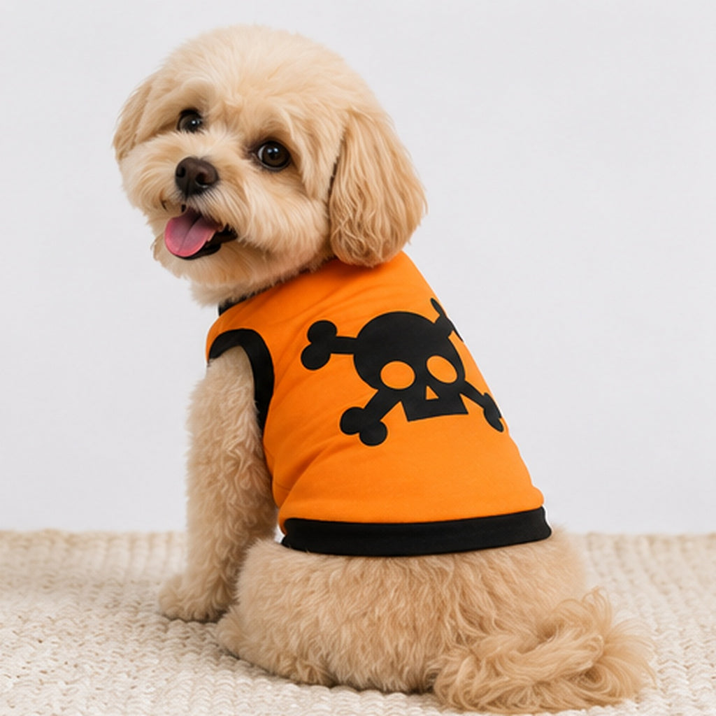 Skully Sweater